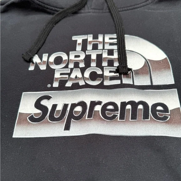 Supreme x The North Face Metallic Logo Hooded Sweatshirt (NF0A3RTSFN4)size Small